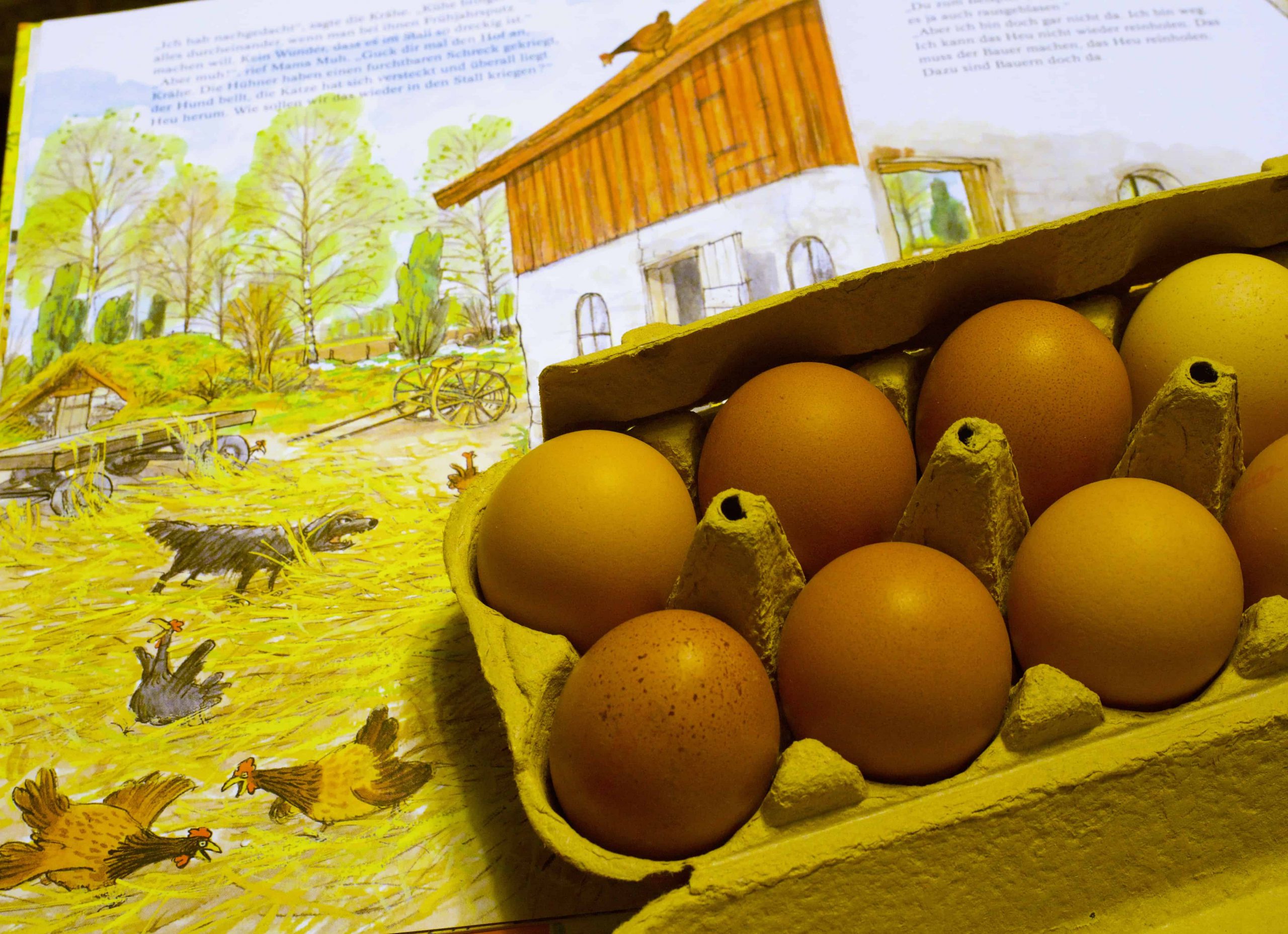 Ik kocht tien eieren van vrolijke kippen op de markt en groenten met een portie van Ons Dagelijks Gif